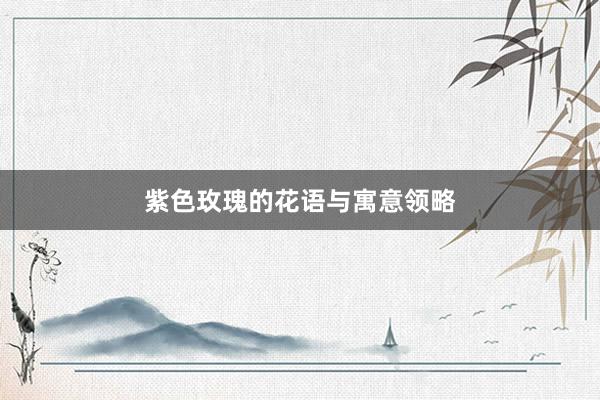 紫色玫瑰的花语与寓意领略